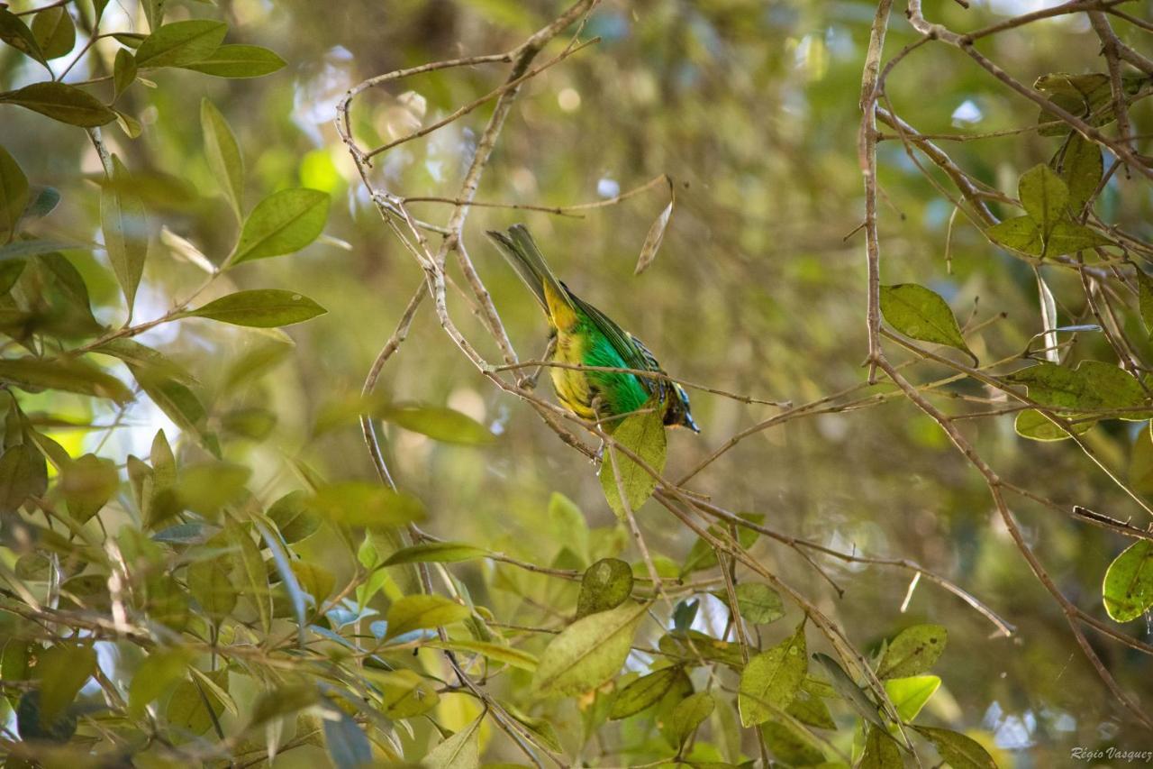 Pousada Ricanto Amore Mio Monte Verde  Bagian luar foto